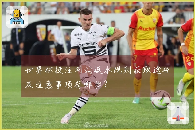 世界杯投注网站返水规则获取途径及注意事项有哪些？