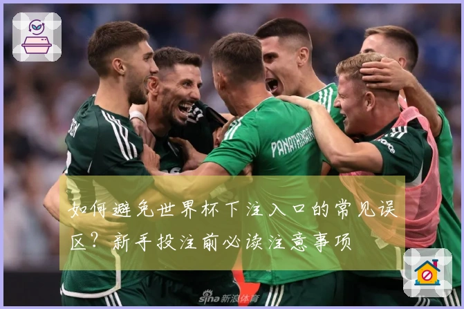 如何避免世界杯下注入口的常见误区?新手投注前必读注意事项