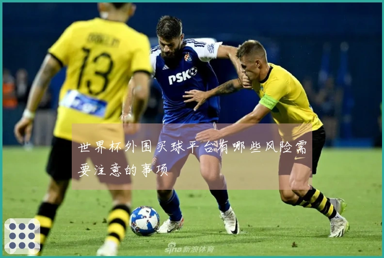 世界杯外围买球平台有哪些风险需要注意的事项