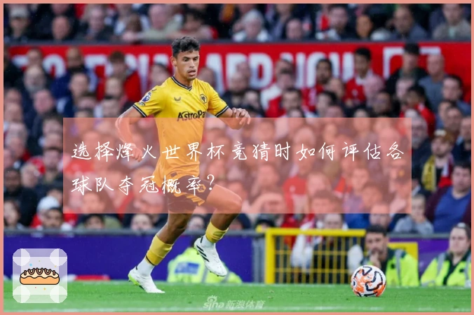 选择烽火世界杯竞猜时如何评估各球队夺冠概率？